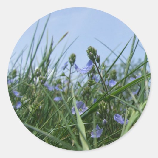 ワイルドフラワースタンプ ラウンドシール (正面)