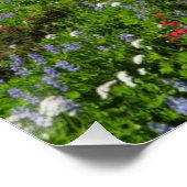 ワイルドフラワーズアット山レイニア ポスター (コーナー)