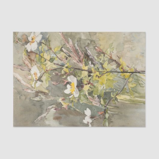 ワイルドフラワーズバイバーバラボディコンティッシュペーパー 薄葉紙 (正面)