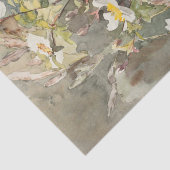 ワイルドフラワーズバイバーバラボディコンティッシュペーパー 薄葉紙 (詳細)