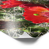 ワイルドフラワーズ – グランドキャニオン – アリゾナ フォトプリント            (角)