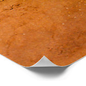 ワイルドフラワーズ – モニュメントバレー – アリゾナ ポスター (角)