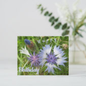 ワイルドフラワーズ：青いコーンフラワーの誕生日ポストカード ポストカード (スタンド正面)