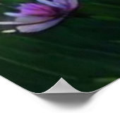 *~ワイルドフラワーズAP56ガールファンタジーアー絵を描ト ポスター (角)