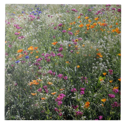 ワイルドフラワータイル大6" x 6" タイル (正面)