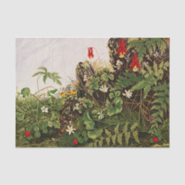 ワイルドフラワーナンバー1byエレン・ロビンズ 薄葉紙