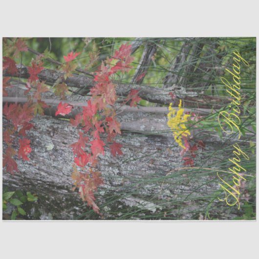 ワイルドフラワーハッピーバースデー 薄葉紙 (正面)