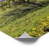 ワイルドフラワーヒルサイドフォトオーク自然風景写真 ポスター (角)