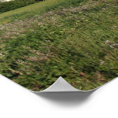 「ワイルドフラワーファーム」 ポスター (角)