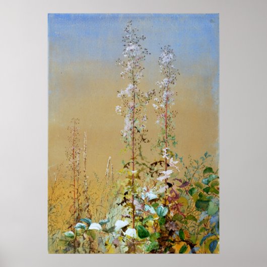 ワイルドフラワーフィデリアブリッジウォータカラーファインアート ポスター (正面)
