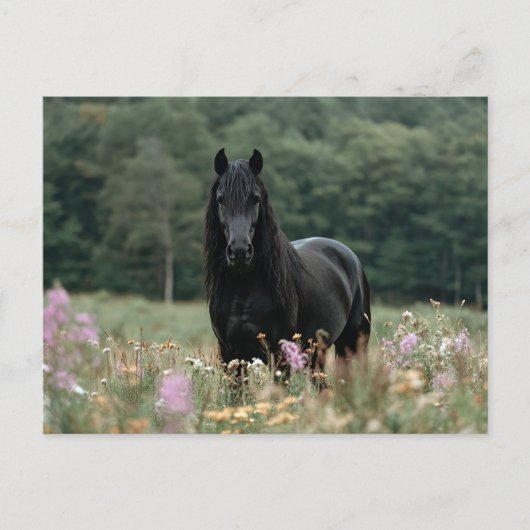 ワイルドフラワーフィールドのフリシア馬 ポストカード (正面)