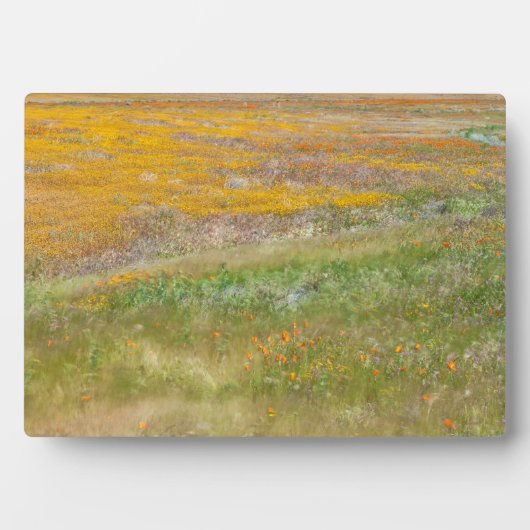 ワイルドフラワーフィールド フォトプラーク (正面)