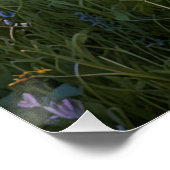 ワイルドフラワーフィールド ポスター (コーナー)