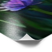 *~ワイルドフラワーフィールドAP56パラソル少女 フォトプリント (角)