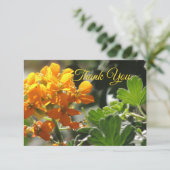 ワイルドフラワーフラットサンキューカード サンキューカード (スタンド正面)