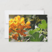 ワイルドフラワーフラットサンキューカード サンキューカード (裏面)