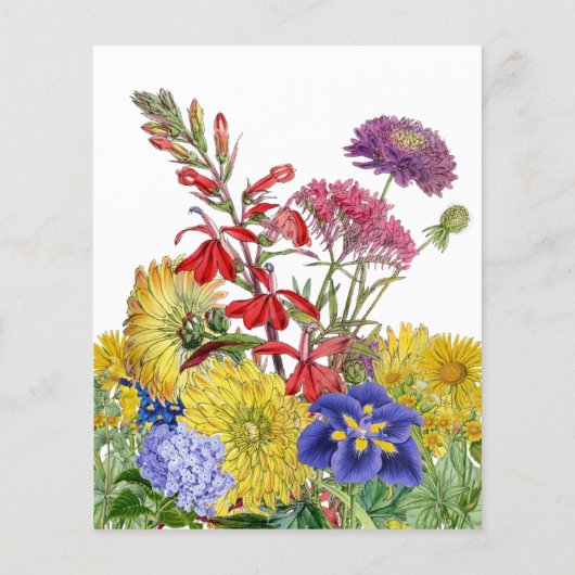 ワイルドフラワーフローラベイビーシャワータイムカプセルゲーム (裏面)