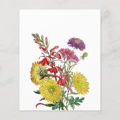 ワイルドフラワーフローラベビー開花シャワービンゴゲーム チラシ (裏面)