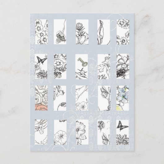 ワイルドフラワーブラックインクペンスケッチ植物美術 ポストカード (正面)