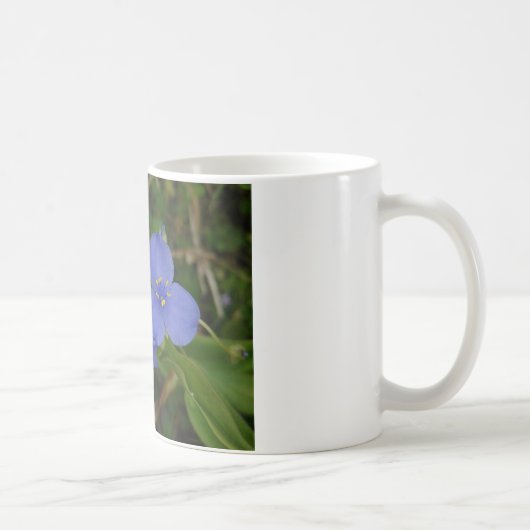 ワイルドフラワーブルースパイダーワート熱い春ARギフト コーヒーマグカップ (右)