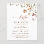 ワイルドフラワーベビーイン開花ベビーシャワーテラコッタ (正面)