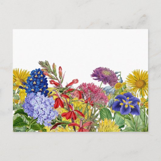 ワイルドフラワーベビーシャワー家族の伝統カード 案内ポストカード (裏面)