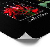 ワイルドフラワーポスター ポスター (角)