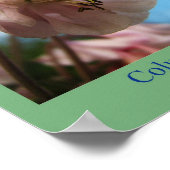 ワイルドフラワーポスター ポスター (角)