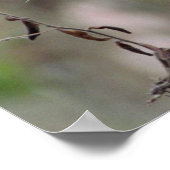 ワイルドフラワーポスター – 16 x 20 ポスター (角)