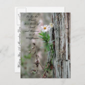 ワイルドフラワーポストカード ポストカード (正面/裏面)