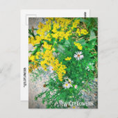 ワイルドフラワーポストカード ポストカード (正面/裏面)