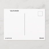 ワイルドフラワーポストカード ポストカード (裏面)