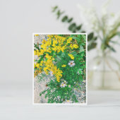 ワイルドフラワーポストカード ポストカード (スタンド正面)