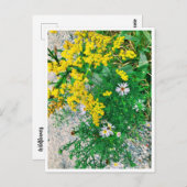 ワイルドフラワーポストカード ポストカード (正面/裏面)