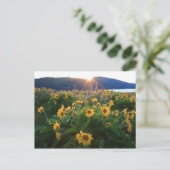 ワイルドフラワーポストカード ポストカード (スタンド正面)