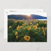 ワイルドフラワーポストカード ポストカード (正面/裏面)