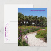 ワイルドフラワーメドーナポリ植物園フロリダ ポストカード (正面/裏面)