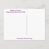 ワイルドフラワーメドーナポリ植物園フロリダ ポストカード (裏面)