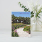 ワイルドフラワーメドーナポリ植物園フロリダ ポストカード (スタンド正面)