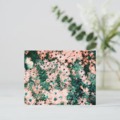 ワイルドフラワーユニークカラー ポストカード (スタンド正面)