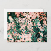 ワイルドフラワーユニークカラー ポストカード (正面/裏面)