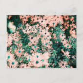 ワイルドフラワーユニークカラー ポストカード (正面)