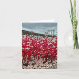 ワイルドフラワー写真と折り畳んだグリーティングカード。 カード