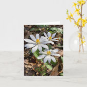 ワイルドフラワー写真の折り畳みグリーティングカード カード (黄色い花)