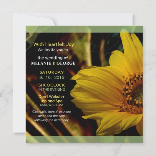 ワイルドフラワー抽象芸術ひまわり 招待状 (裏面)