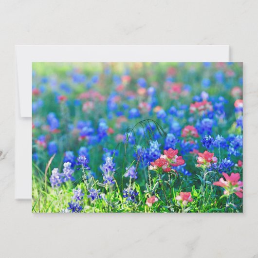 ワイルドフラワー招待状カード セーブザデート (裏面)