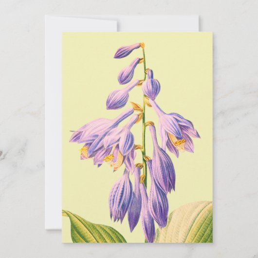 ワイルドフラワー水彩フローラガーデンベイビーシャワー 招待状 (裏面)