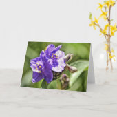 ワイルドフラワー聖なる書物、 経典ノートカードヘブライ11:1 カード (黄色い花)