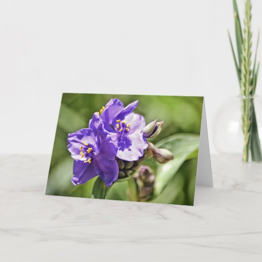 ワイルドフラワー聖なる書物、 経典ノートカードヘブライ11:1 カード (正面)