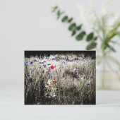 ワイルドフラワー色分解はがき ポストカード (スタンド正面)